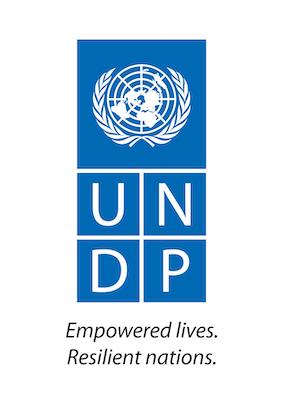 undp logo